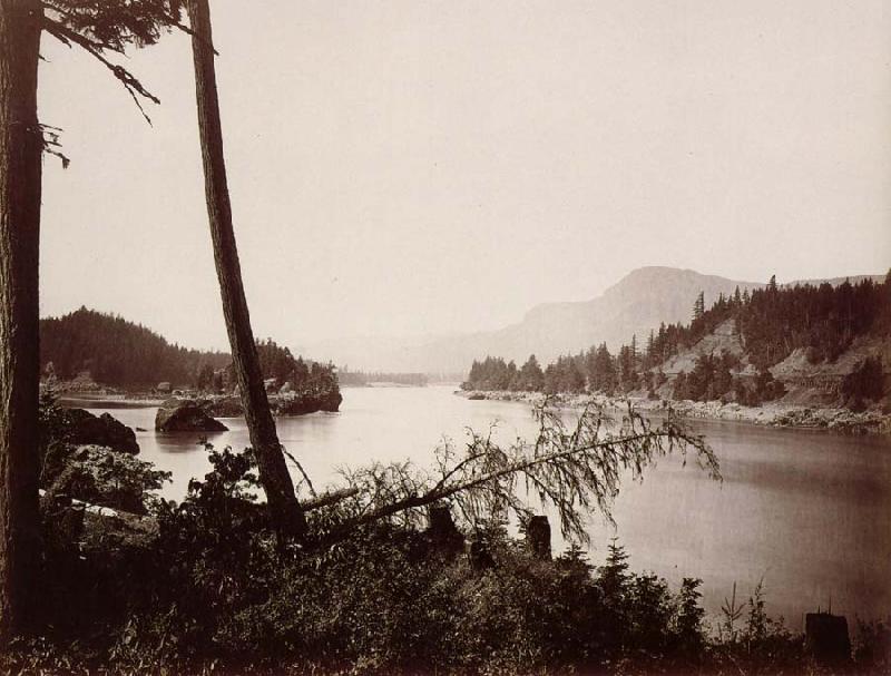 Carleton E.Watkins Vue du fleuve Columbia et de la chain des Cascades oil painting picture